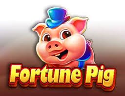 Different types of online slot games available on phl777 Philippines